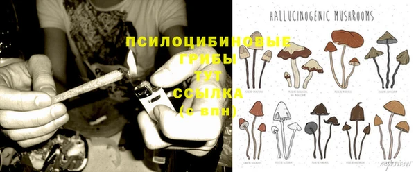 бутират Алексин