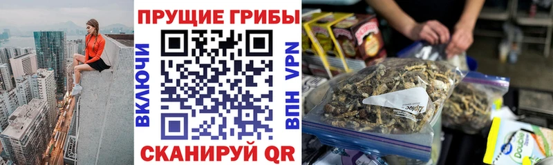где найти наркотики Ардатов Галлюциногенные грибы Magic Shrooms