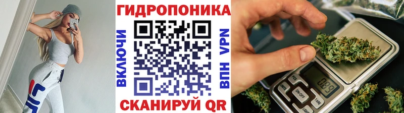 Бошки марихуана семена  продажа наркотиков  Ардатов 